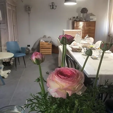 爱帕塔门托73号公寓 住宿加早餐酒店 Cignone